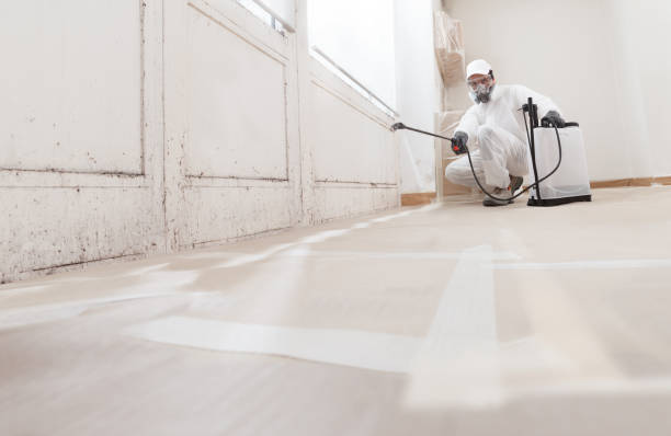 24/7 Emergency Mold Remediation experts in Grant, MN