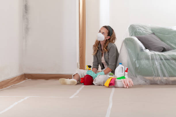 Reliable Mold Remediation contractor in Grant, MN by 24 Hour Mold Removal